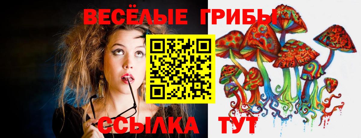 Галлюциногенные грибы мицелий  Вход с VPN  Фрязино 